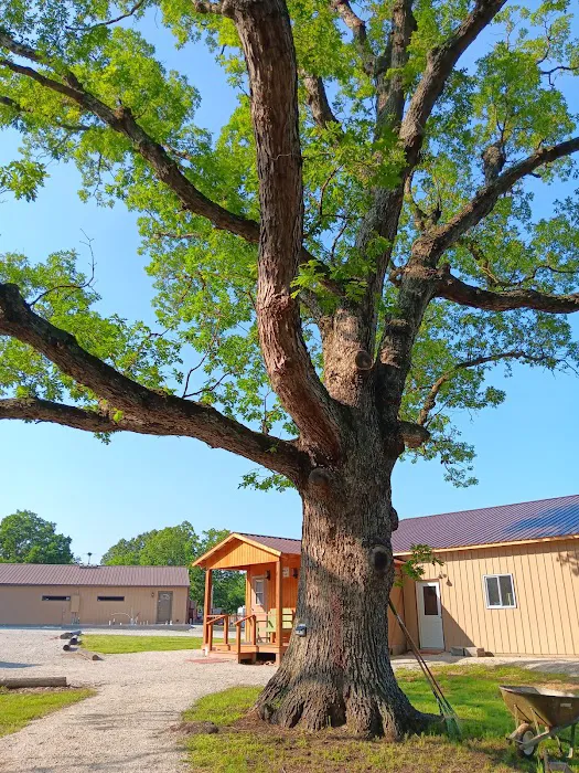 Needmore RV & Campground 2