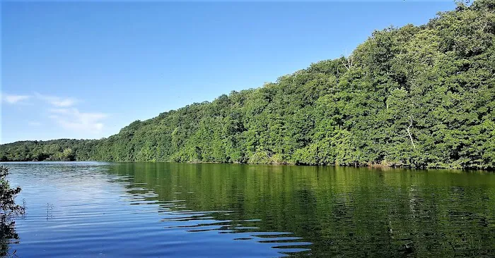 Linn County Park & Marina Store 1