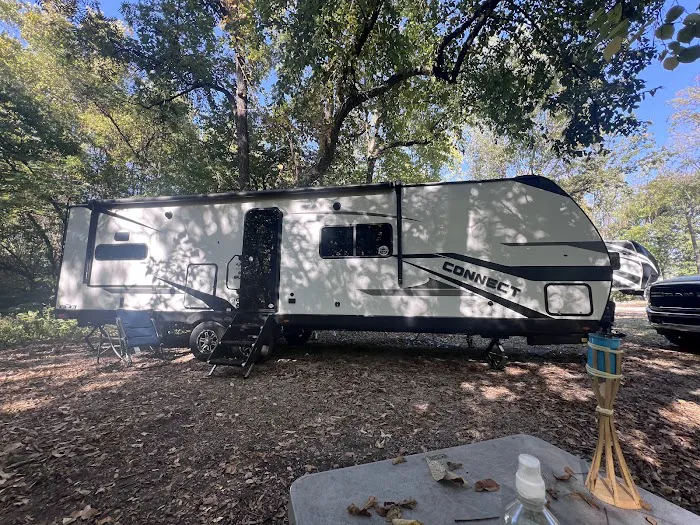 The Woods at Plaza Drive - RV Park 2