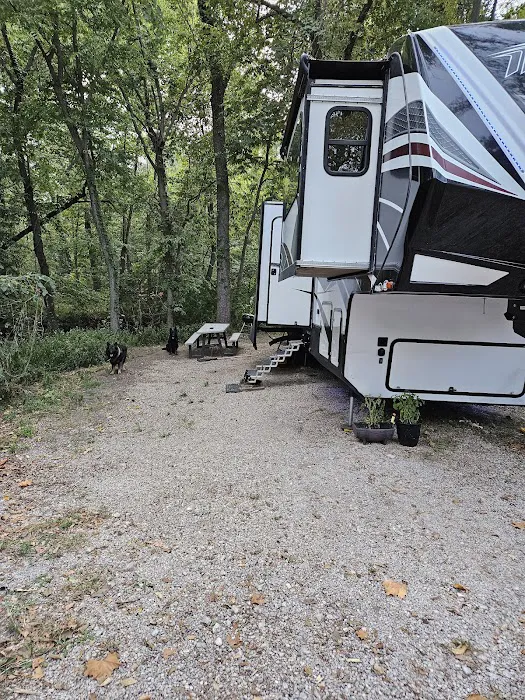 The Woods at Plaza Drive - RV Park 8