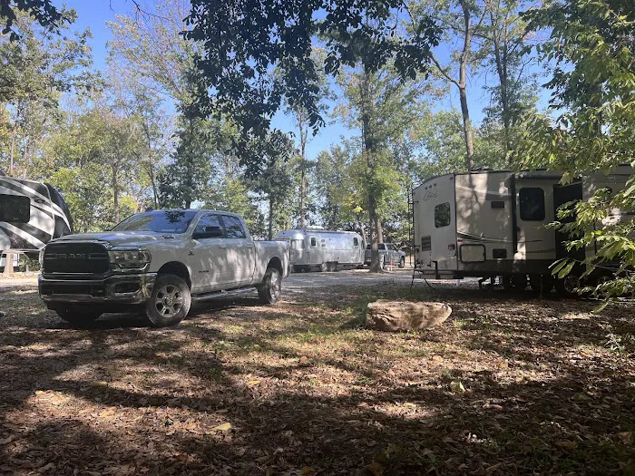 The Woods at Plaza Drive - RV Park 3