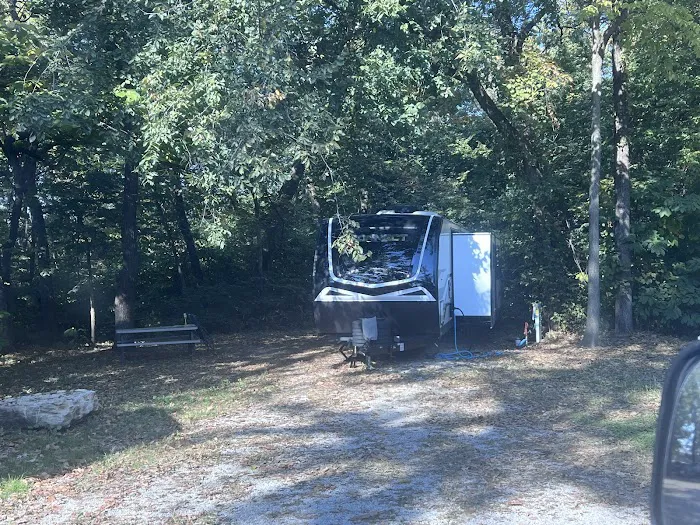 The Woods at Plaza Drive - RV Park 4
