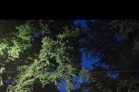 Hidden Willows RV Park