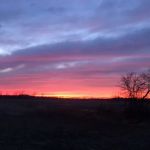 Rv park west & farms