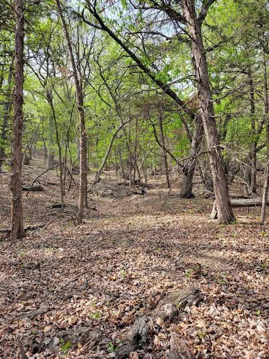 Comfort Cove Campground 7