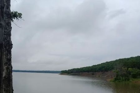 Comfort Cove Campground
