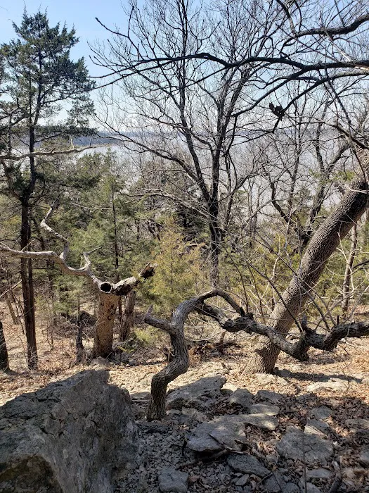Comfort Cove Campground 8