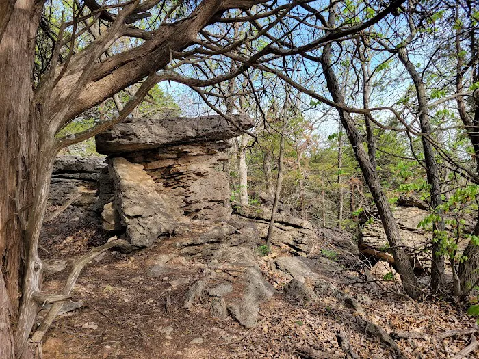 Comfort Cove Campground 6