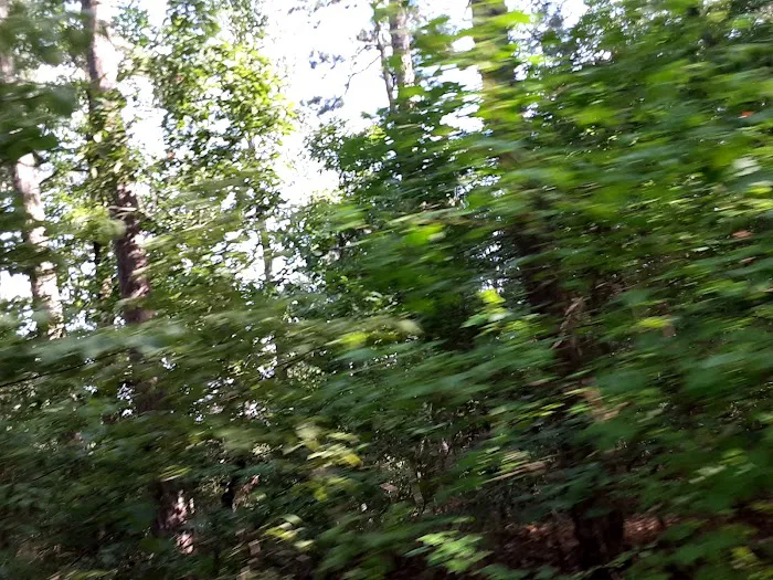 Jack Creek Recreation Area 4