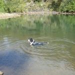 Jack Creek Recreation Area