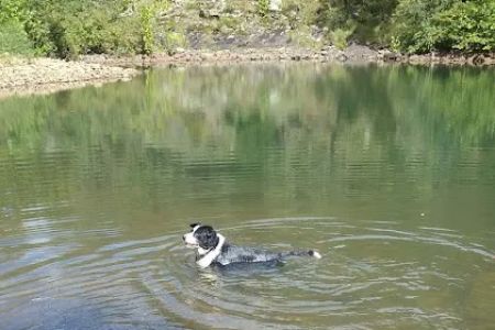 Jack Creek Recreation Area