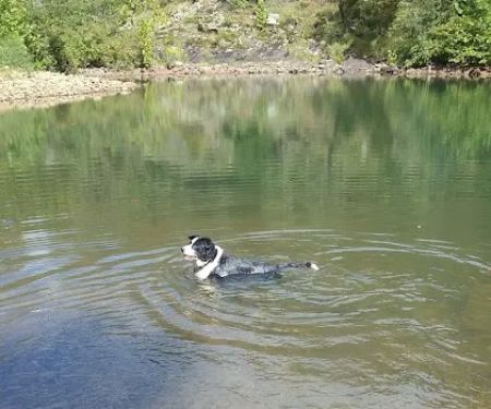 Jack Creek Recreation Area