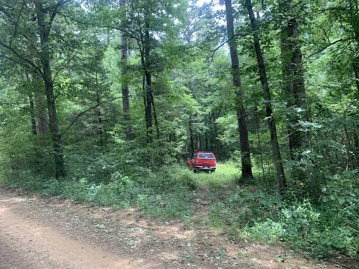 Jack Creek Recreation Area 9