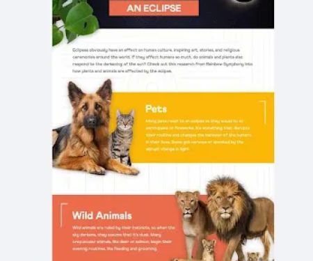 2024 Solar Eclipse RV Camping
