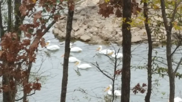 Lewisburg Bay RV Park 8