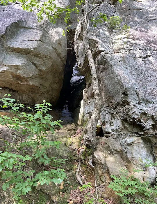 Petit Jean Campground 7