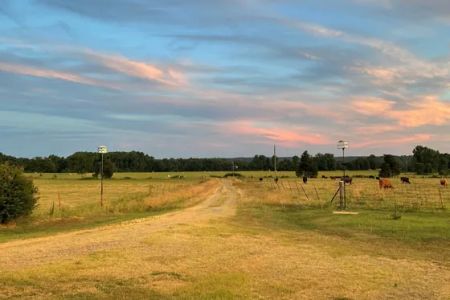 Reynolds Ranch Eclipse Camping