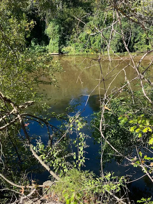 Little River RV Park 8