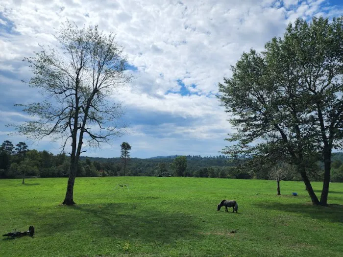 Rockin' T Ranch 8
