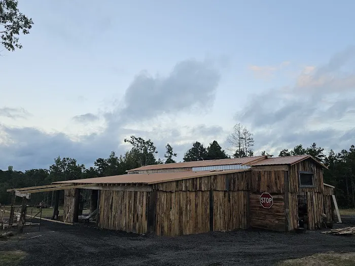 Rockin' T Ranch 2
