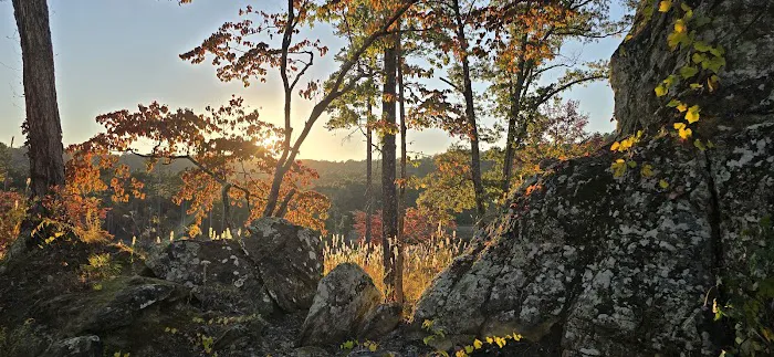 Williams Rock 6
