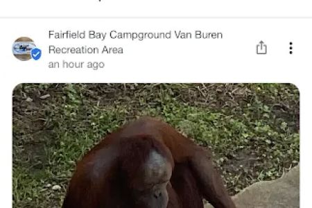 Fairfield Bay Campground Van Buren Recreation Area