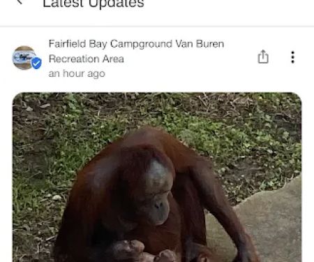 Fairfield Bay Campground Van Buren Recreation Area