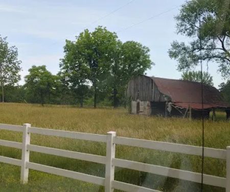 Toad's Mean Green RV Park