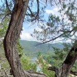 Saddle Valley Ranch Horse & RV Park