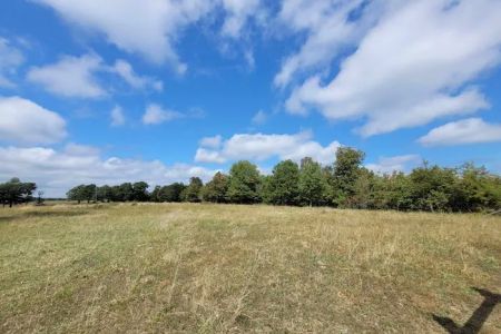 Campbell Rd Eclipse Campgrounds