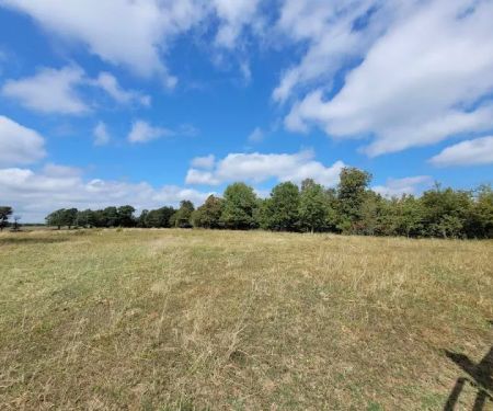 Campbell Rd Eclipse Campgrounds