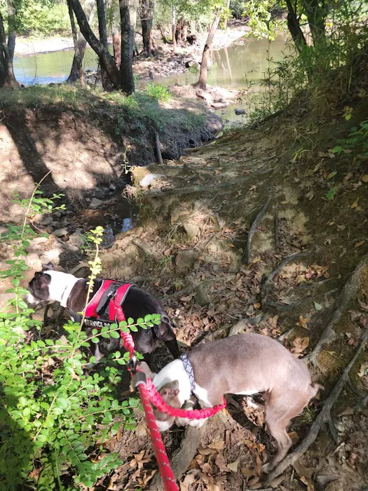 River Road Campground 5