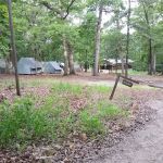 Hickory Campsite