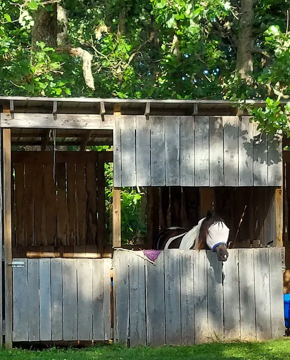 Pomme de ridge horse camp and campground 6