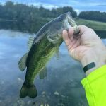 Lake Meadows RV Park