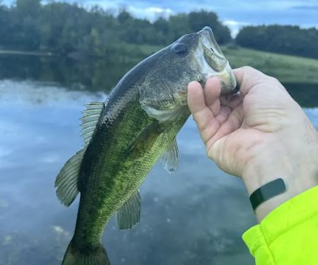 Lake Meadows RV Park