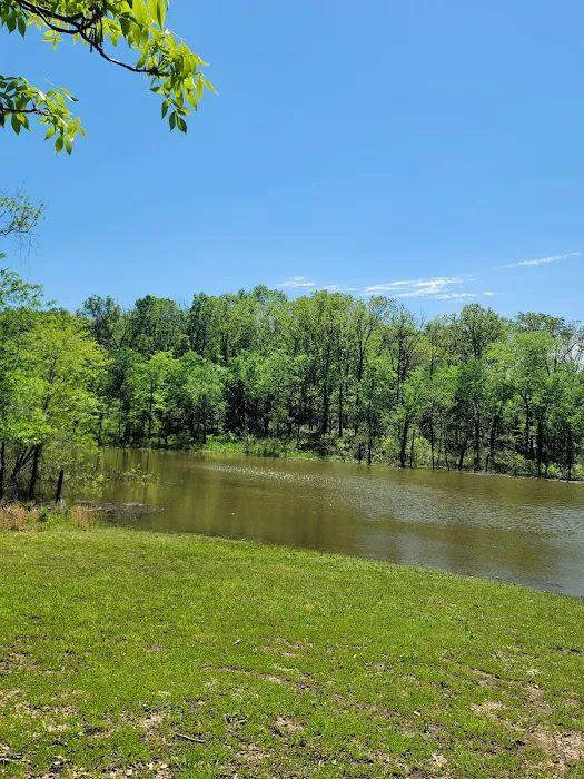 Lightfoot Public Use Area 4