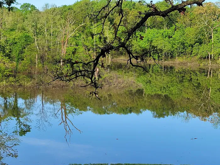 Lightfoot Public Use Area 8