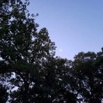 Piercing Arrow Council Ring