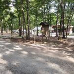 Locust Campsite