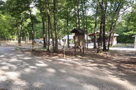 Locust Campsite