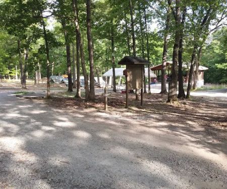 Locust Campsite