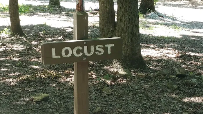 Locust Campsite 2
