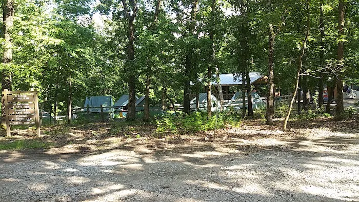 Spruce Campsite 6