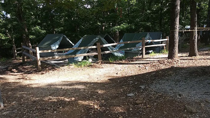 Spruce Campsite 8