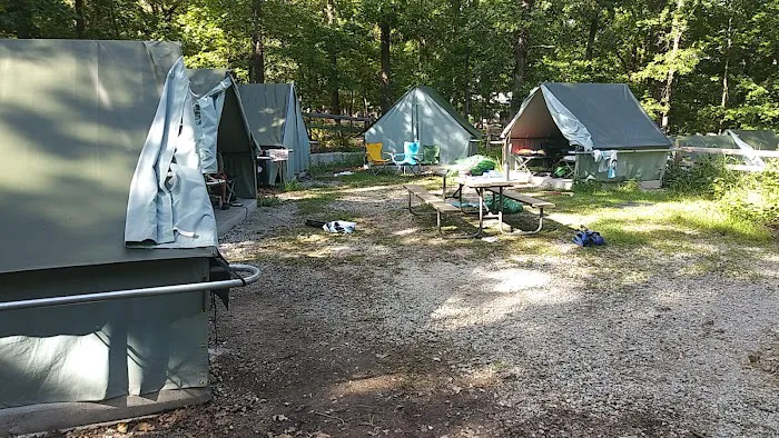Spruce Campsite 2