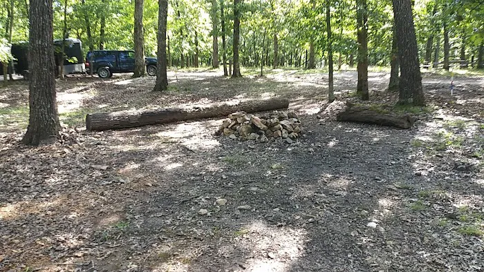 Spruce Campsite 5