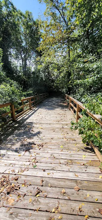 Lake Miola Campgrounds 9