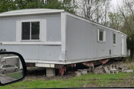 Oasis Mobile Home Park