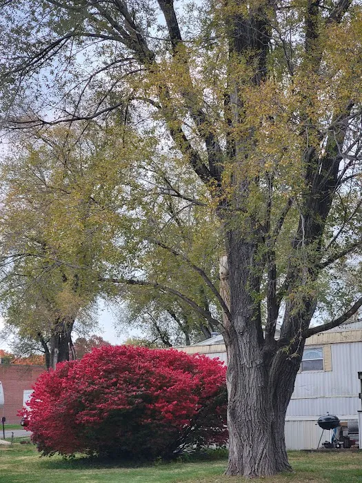Plaza Acres Court 5
